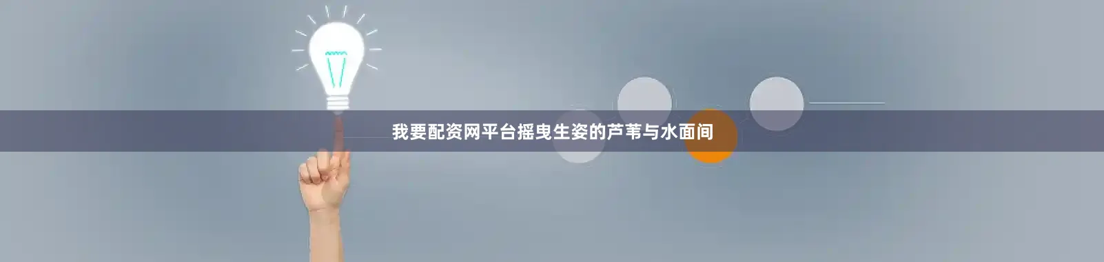 我要配资网平台摇曳生姿的芦苇与水面间
