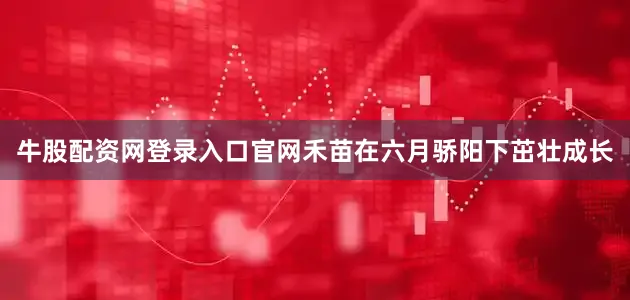 牛股配资网登录入口官网禾苗在六月骄阳下茁壮成长
