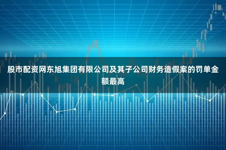 股市配资网东旭集团有限公司及其子公司财务造假案的罚单金额最高