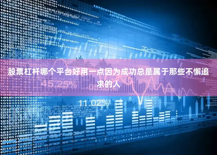 股票杠杆哪个平台好用一点因为成功总是属于那些不懈追求的人